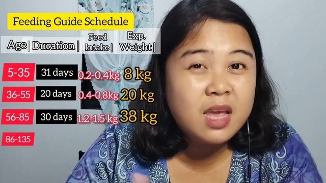 May Tamang Sukat ba sa Pagpapakain sa mga Patabaing Baboy para makaiwas sa pagkalugi?