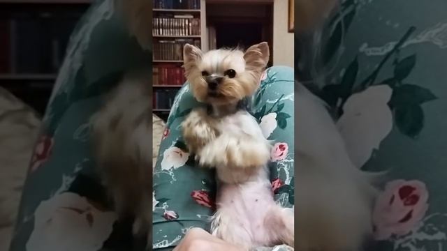 Бабуськи те или не те???😂😂😂