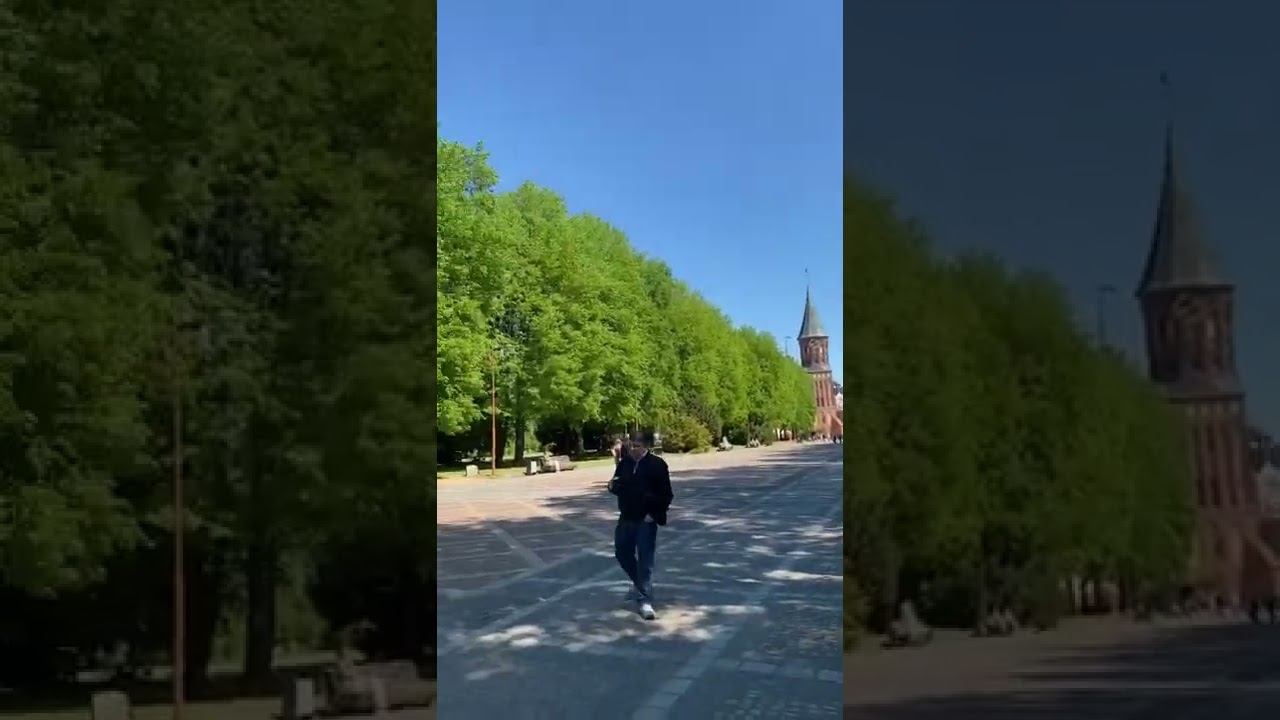 12K tripZ | Kaliningrad