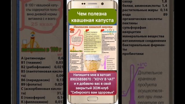 Чем полезна квашеная капуста