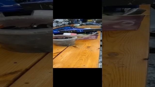 1000027316.mp4