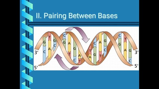 Sayanti BagchiDNA Replication InitiationYSPM