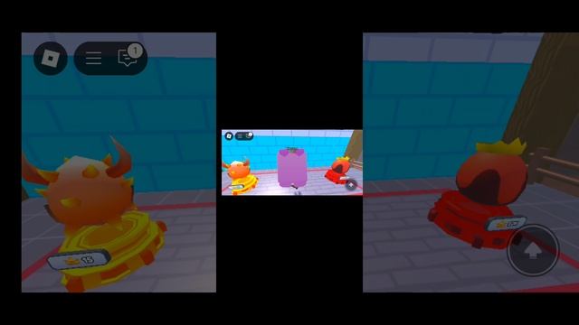 1000010764.mp4