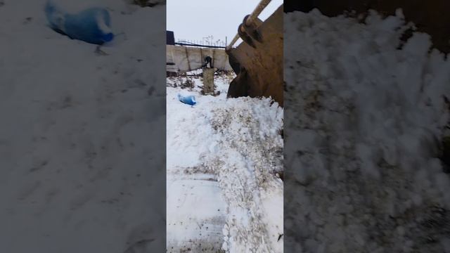 lv_0_20241208135601.mp4