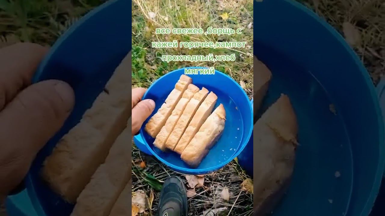 Обед тракториста #колхоз #комбайн #farming #механизатор ##трактор #мтз