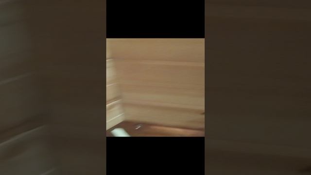 нету кошек