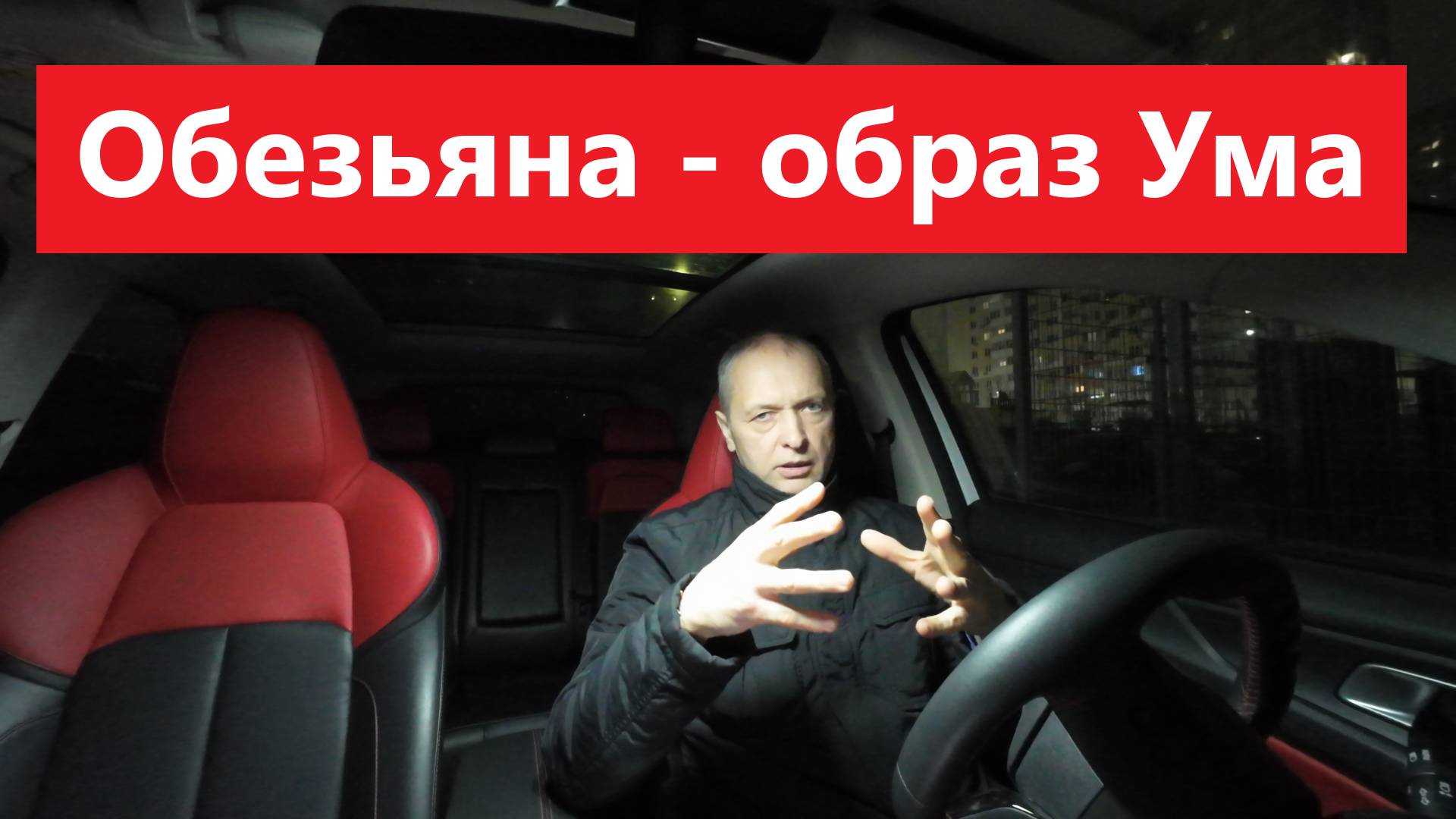 Обезьяна - как образ Ума