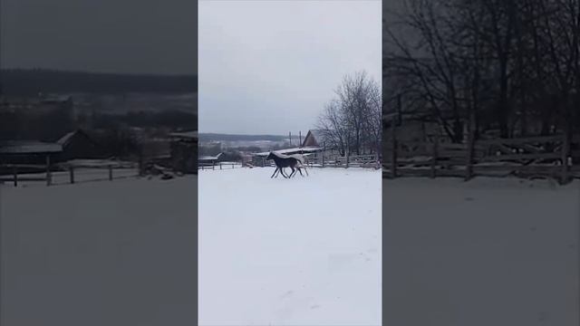 1000014917.mp4