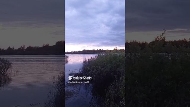 Красиво у речки, но комарики портят всё впечатление
