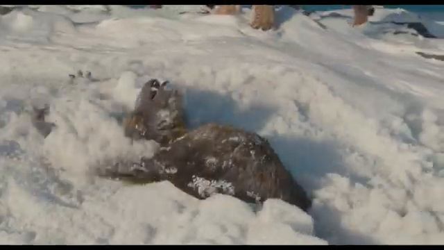 Муфаса. Король Лев — Финальный трейлер (Дубляж 2024)