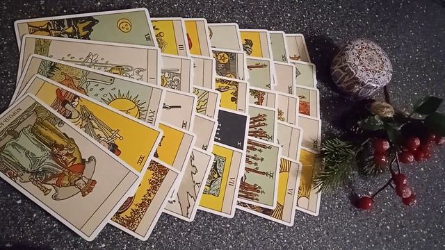 VID_20241208_081501.mp4