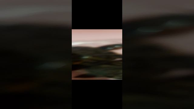 кормим черепах 1 часть 😘😘🐢