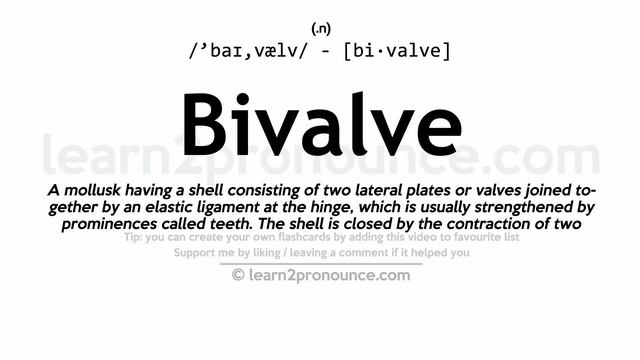 Pronunciation of Bivalve | Definition of Bivalve