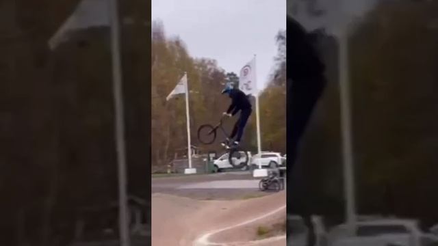 спорт)