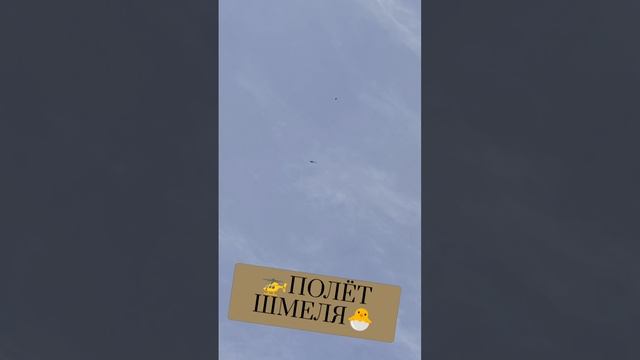 🚁ПОЛЁТ ШМЕЛЯ🐣