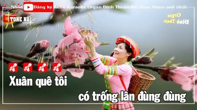 Xuân Quê Tôi Karaoke Remix Tone