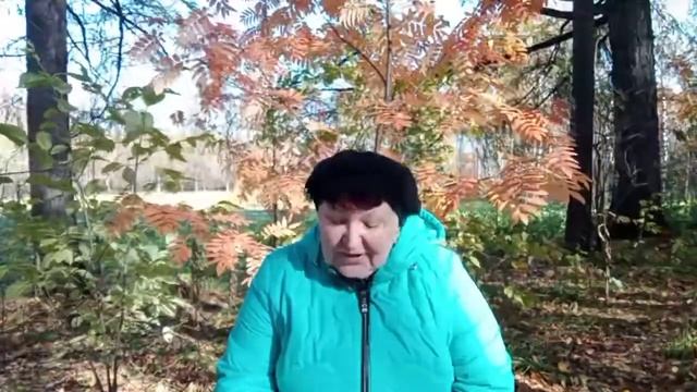 Рассказ «Музыка леса».
