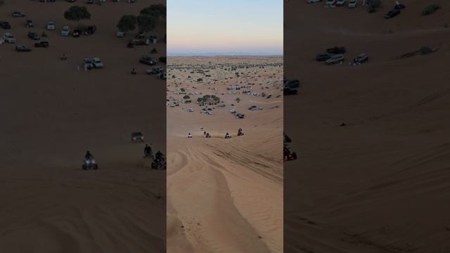 Desert Drive
