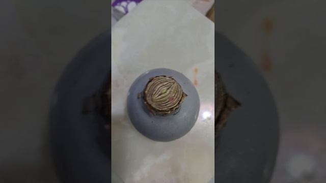 video_2024-12-08_20-17-14