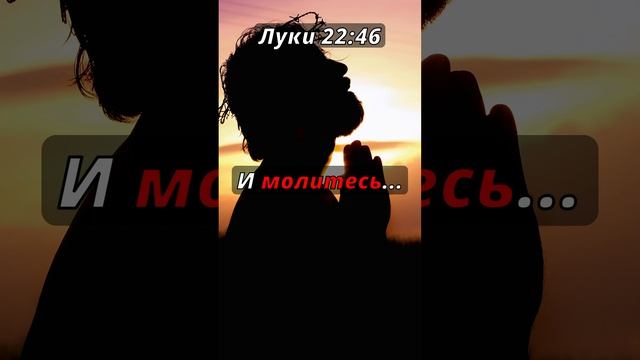 #jesus - почему вы спите? #пасха #молитва