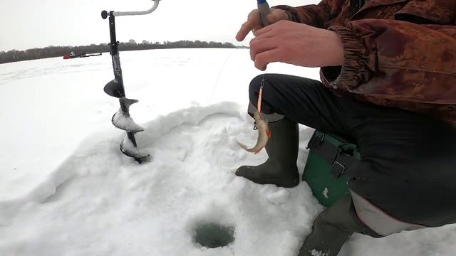 Зимняя рыбалка! ловим окуней и чебаков! 👍