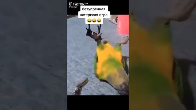 Актёр