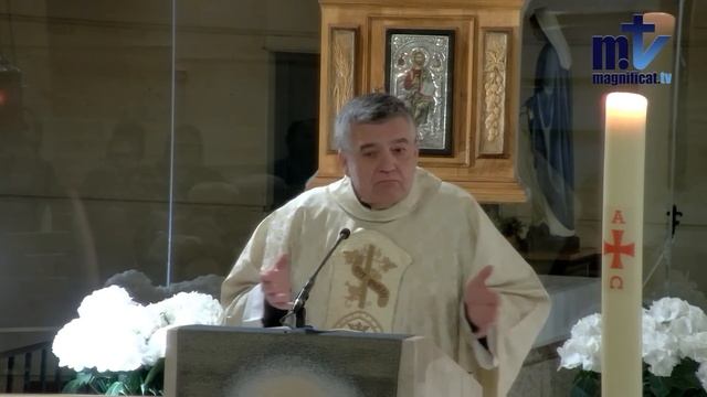La Santa Misa de hoy |Domingo de la Divina Misericordia| 07-04-2024 | P. Santiago Martín, FM
