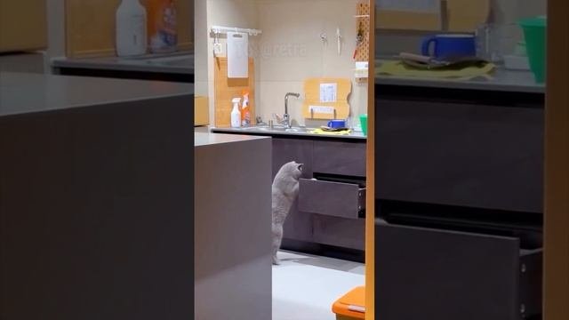 1000082101.mp4