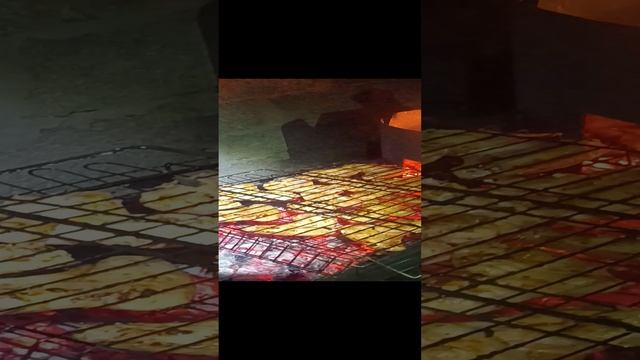 1000049324.mp4