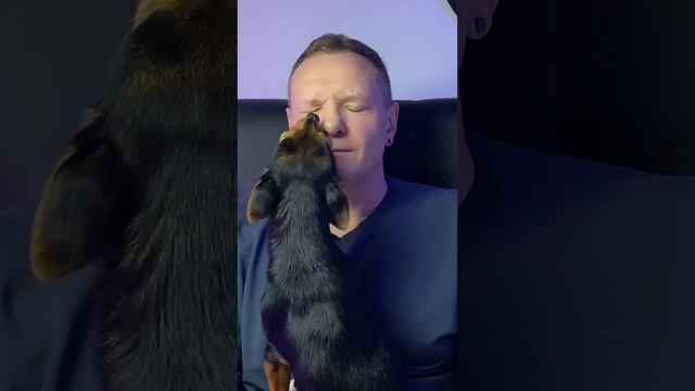 Это Маруся. Ей 1,5 года. Она из приюта. Теперь она будет жить в нашей семье♥️