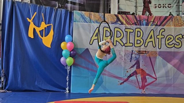 Arribafest 8.12.24