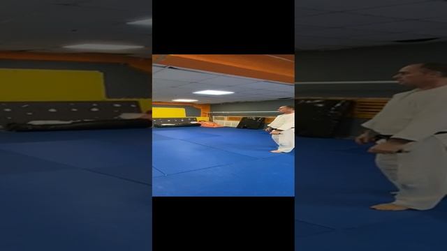 айкидо это ты