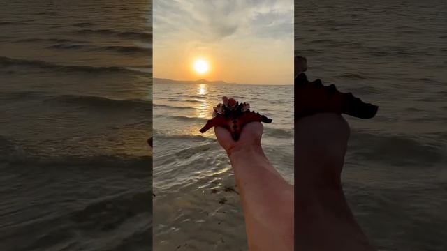Морские звезды