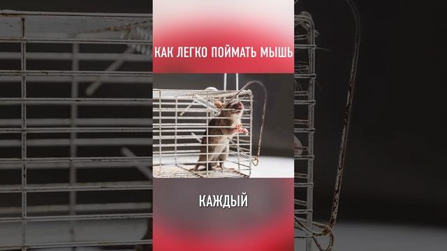 Очумелые ручки