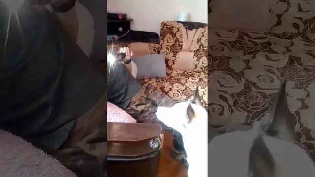 f389328a-c87c-4f8e-86b4-ba17b1822f44-1_all_778.mp4