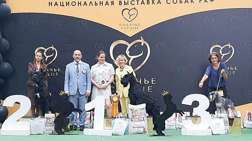 14.07.2024, СПб. Клуб "Собачье Сердце", СПб. Выставка собак CAC 2 группы FCI