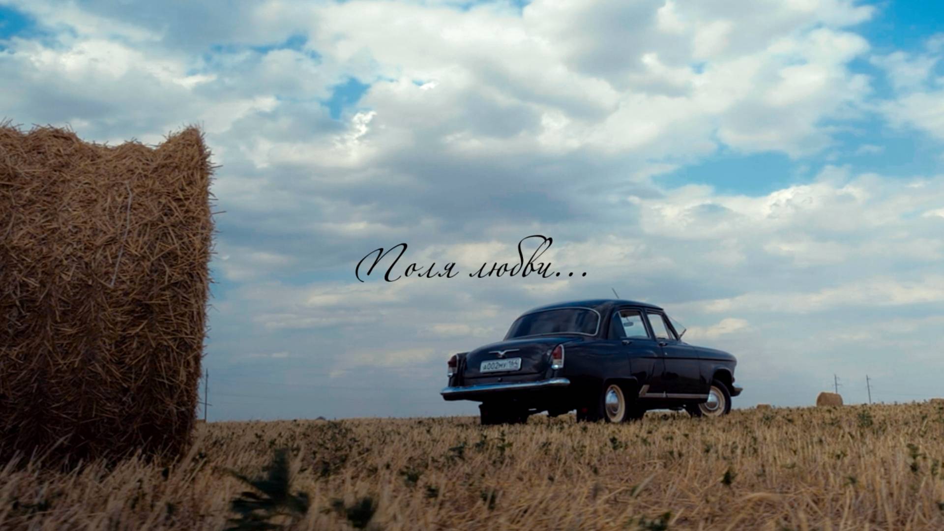 Lovestory Алексея и Ксении - Поля любви