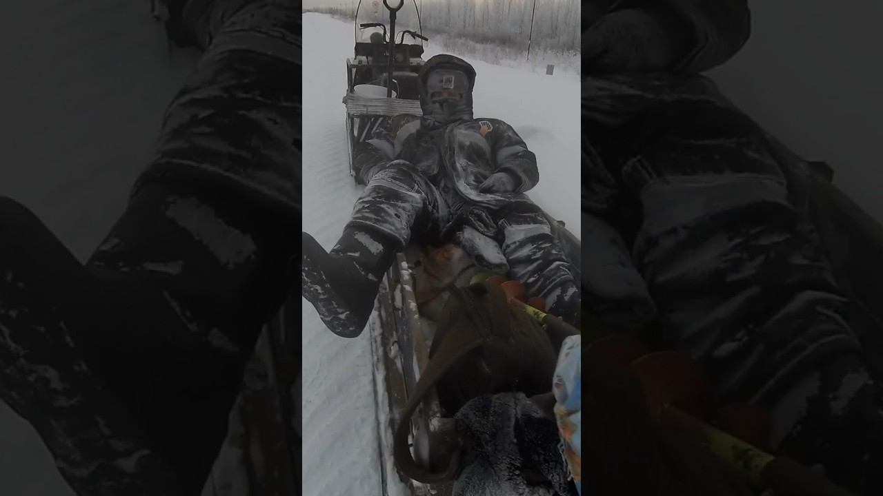 #рыбалка #зимняяловлярыбы #сети #охота