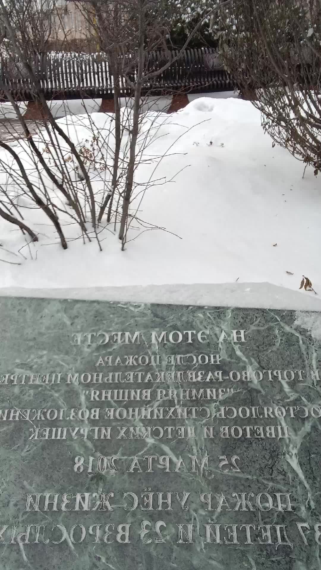 Зимняя вишня парк ангелов 3 часть