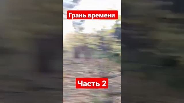 #воронеж #приключения