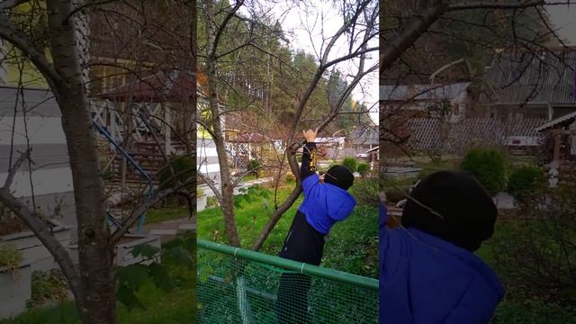 Бывшая дачка