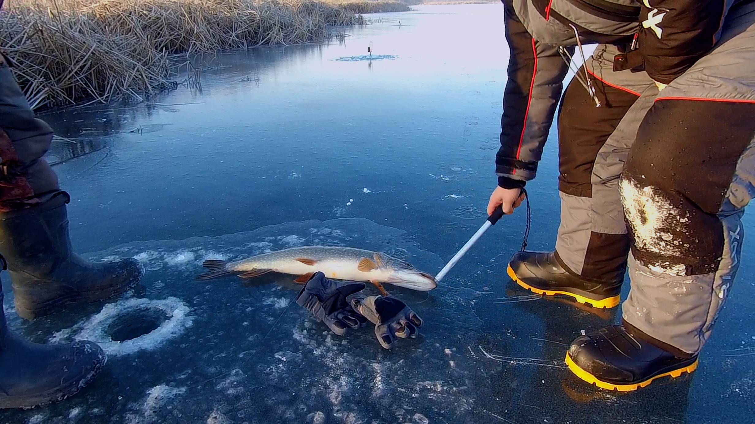 ПОПАЛАСЬ МАМКА || Щука на жерлицу #рыбалка #FishingHolidays #щука #волга