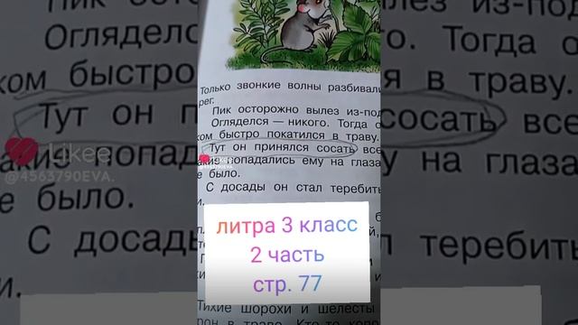 3 класс