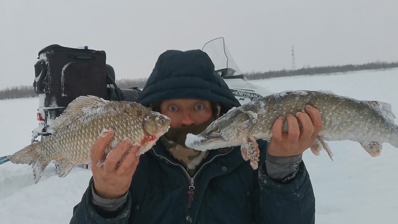 Рыбалка на сети/Проверка Сетей/Зимняя Рыбалка!