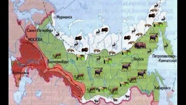 Цугленок Н.В. Вопрос Президенту РФ 2024