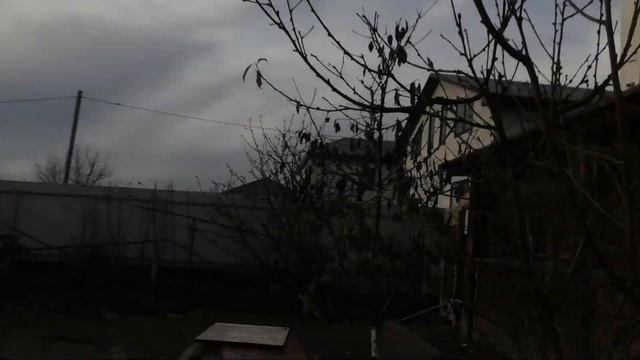 Голубятник из Калмыкии Алексей в гостях в Астрахани!