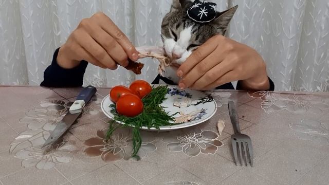 Kisa. mushuk super video