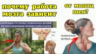 Жизнь мозга зависит от 4-го сегмента позвоночной артерии шеи. Как освободить его от сдавливания?