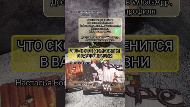 Таро.mp4