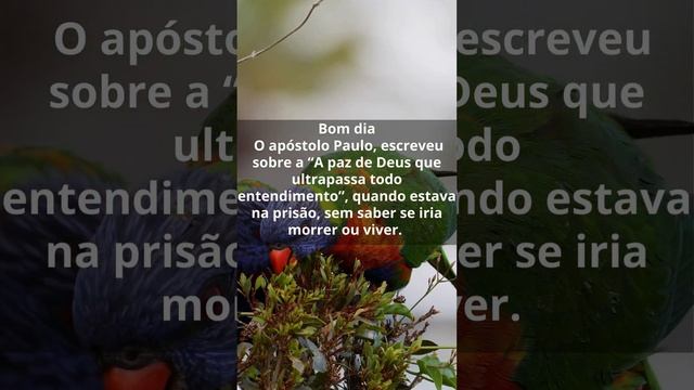 YT 025  A PAZ DE DEUS